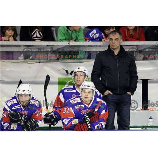 Rok Ticar, Anze Kuralt, Matjaz Kopitar, head coach of Slovenia in action during friendly ice-hockey match Slovenia-Croatia in Hala Tivoli, Ljubljana, Slovenia on April 7, 2012 