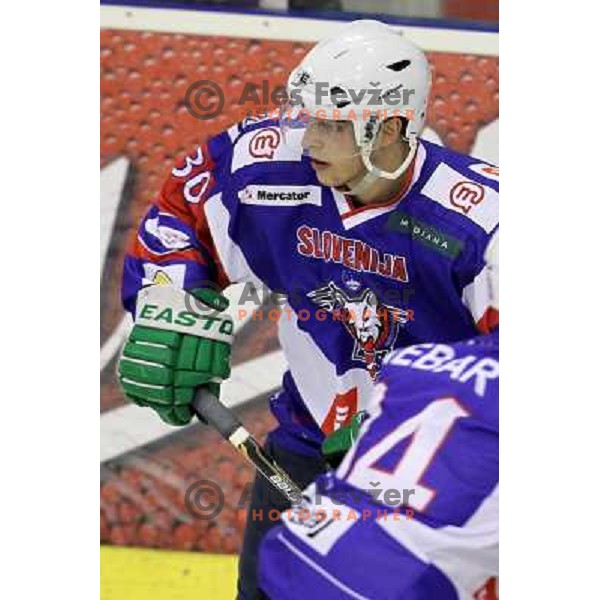 Erik Pance of Slovenia in action during friendly ice-hockey match Slovenia-Croatia in Hala Tivoli, Ljubljana, Slovenia on April 7, 2012 