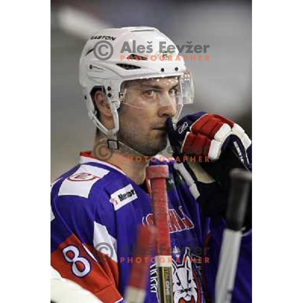 Sabahudin Kovacevic of Slovenia in action during friendly ice-hockey match Slovenia-Croatia in Hala Tivoli, Ljubljana, Slovenia on April 7, 2012 