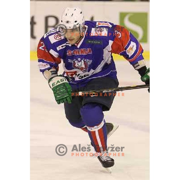 Damjan Dervaric of Slovenia in action during friendly ice-hockey match Slovenia-Croatia in Hala Tivoli, Ljubljana, Slovenia on April 7, 2012 