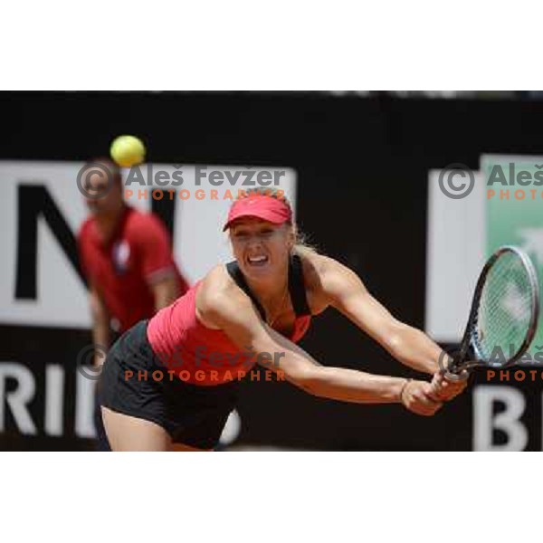 Maria Sharapova (RUS) in action during Internazionali BNL Open D\'Italia, WTA tour in Rome, Italy on May 15, 2012 