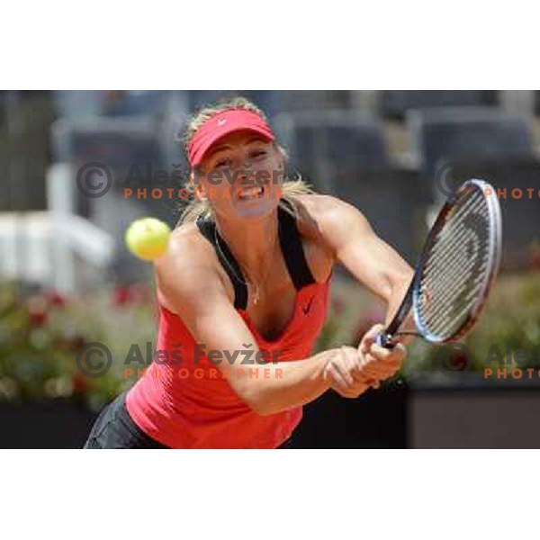 Maria Sharapova (RUS) in action during Internazionali BNL Open D\'Italia, WTA tour in Rome, Italy on May 15, 2012 