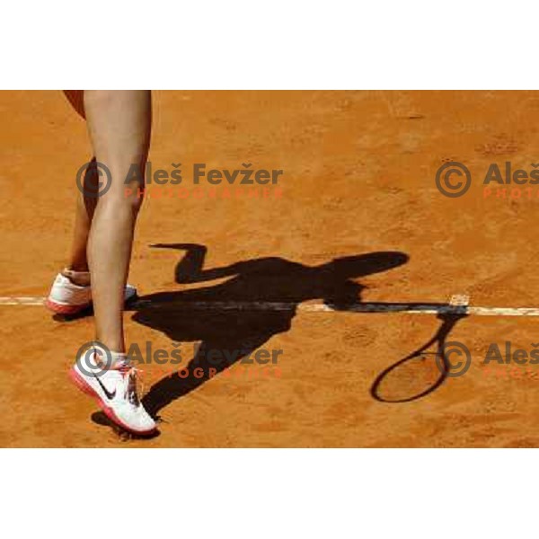 Maria Sharapova (RUS) in action during Internazionali BNL Open D\'Italia, WTA tour in Rome, Italy on May 17, 2012 
