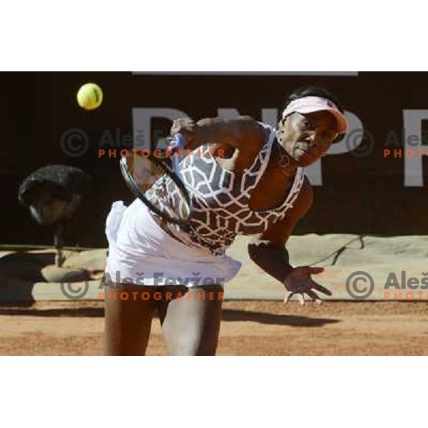 Venus Williams of USA in action during Internazionali BNL Open D\'Italia, WTA tour in Rome, Italy on May 17, 2012 