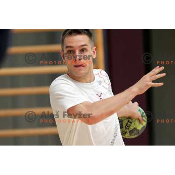 Players of Slovenia during practice session of Slovenia Handball team in Sports Hall Zrece, Slovenia on June 3, 2012 