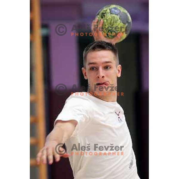 Players of Slovenia during practice session of Slovenia Handball team in Sports Hall Zrece, Slovenia on June 3, 2012 