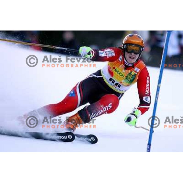 Petra Robnik