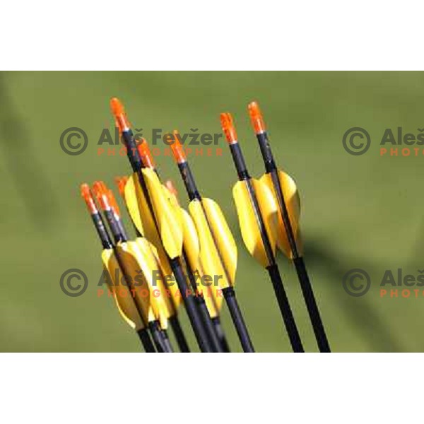 action during practice session in archery at Lord\'s Cricket ground during London 2012 Summer Olympic games, Great Britain on July 25, 2012 