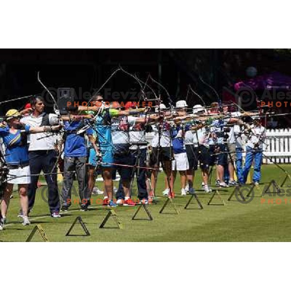 action during practice session in archery at Lord\'s Cricket ground during London 2012 Summer Olympic games, Great Britain on July 25, 2012 