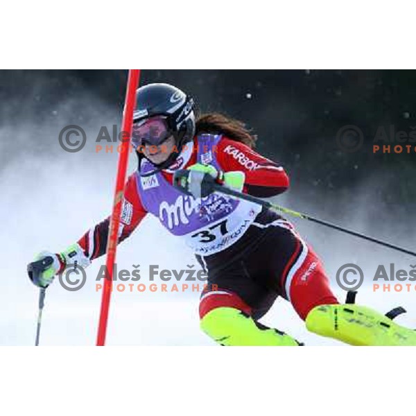 Ana Kobal at first slalom run at 43.Golden Fox Trophy- FIS World Cup Women race in Kranjska Gora, Slovenia on 07.01.2007 photo by Ales Fevzer