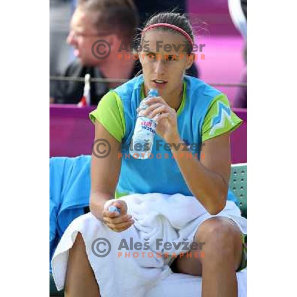 Polona Hercog of Slovenia in action in first round of tennis tournament in Wimbledon during London 2012 Summer Olympic Games, Great Britain on July 30, 2012 
