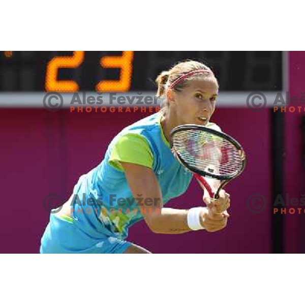 Polona Hercog of Slovenia in action in first round of tennis tournament in Wimbledon during London 2012 Summer Olympic Games, Great Britain on July 30, 2012 