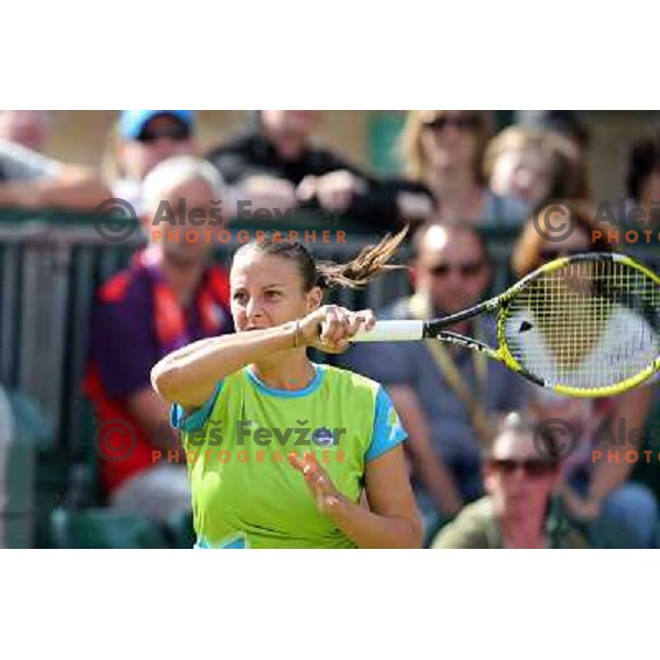 Andreja Klepac of Slovenia in action in first round of women\'s doubles tennis tournament in Wimbledon during London 2012 Summer Olympic Games, Great Britain on July 30, 2012 