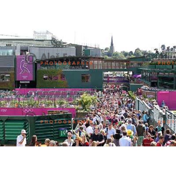 tennis tournament in Wimbledon during London 2012 Summer Olympic Games, Great Britain on July 30, 2012 