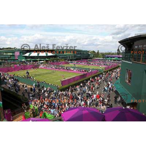 tennis tournament in Wimbledon during London 2012 Summer Olympic Games, Great Britain on July 30, 2012 