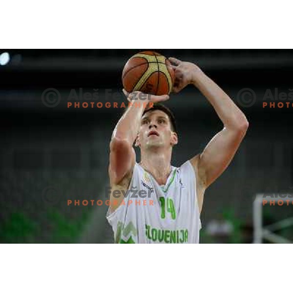 Gasper Vidmar in action during basketball game Slovenia - Bosnia and Herzegovina, Adecco Cup, Stozice Arena, Ljubljana, 03.08.2012 