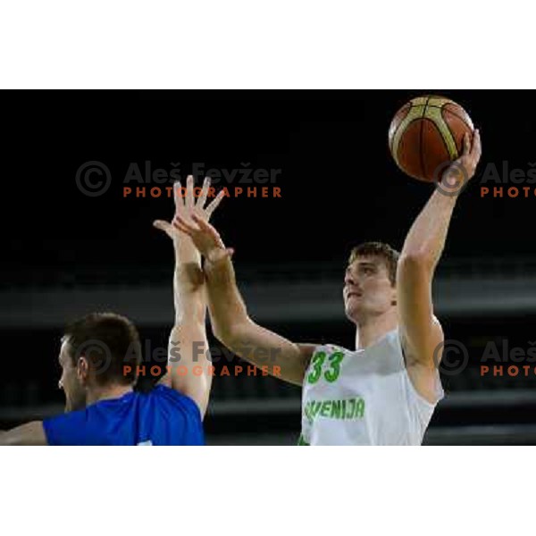 Zoran Dragic in action during basketball game Slovenia - Bosnia and Herzegovina, Adecco Cup, Stozice Arena, Ljubljana, 03.08.2012 