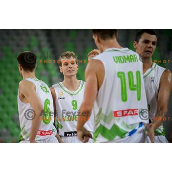 Jaka Blazic in action during basketball game Slovenia - Bosnia and Herzegovina, Adecco Cup, Stozice Arena, Ljubljana, 03.08.2012 