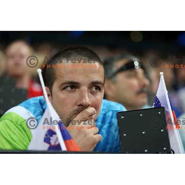 Primoz Cetrtic watches hammer throw at Olympic stadium during London 2012 Olympic games on August 5, 2012 