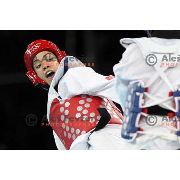 Karine Sergerie of Canada fights with Farida Azizova of Azerbaijdan in Preliminary round of women\'s -67 kg taekwondo tournament in ExCel during London 2012 Summer Olympic Games, Great Britain on August 10, 2012 