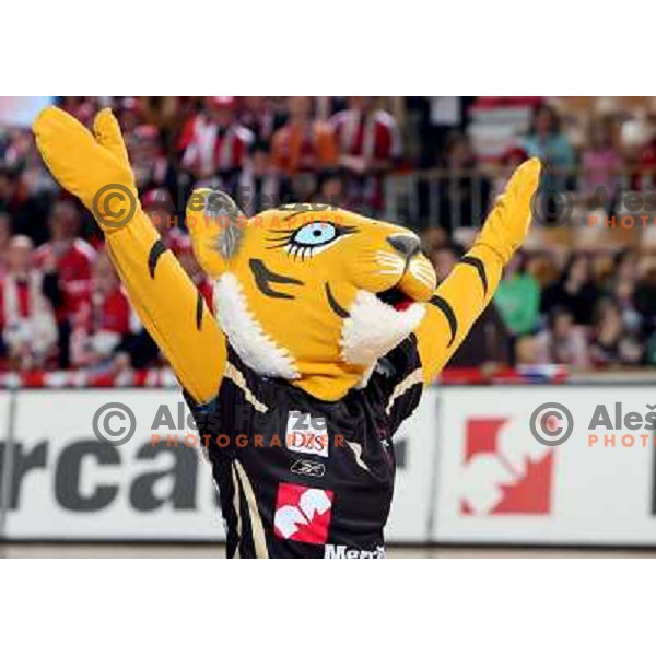  Krim mascot before start of women\'s EHF Championsleague game Krim Mercator-Dynamo Volgograd in Ljubljana, Slovenia. Krim Mercator won 41-34. Photo by Ales Fevzer