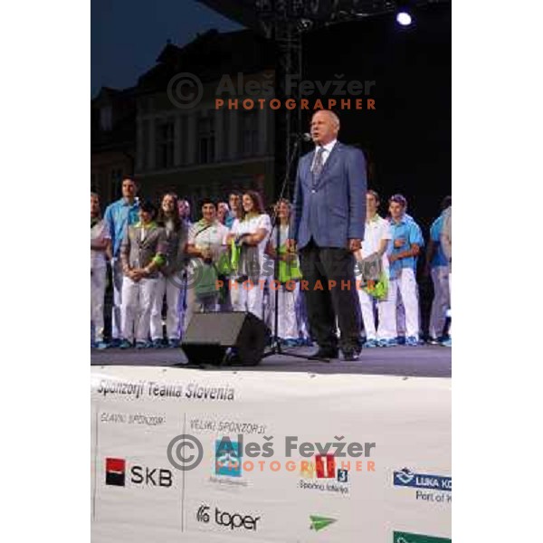 Reception for Slovenia Olympic team from London 2012 Olympic games at Congress Square in Ljubljana on August 14, 2012 