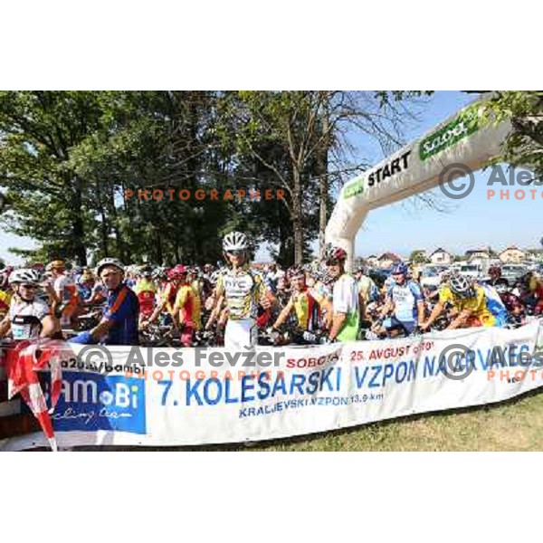 ALES8089.JPG Slovenian amateur cycling climb championship at 11,7 km track from Cerklje to Krvavec for King and Queen of Krvavec Trophy, held on August 25, 2012 