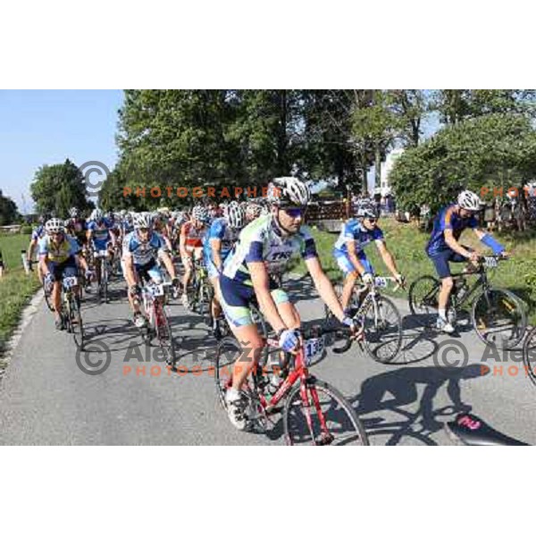 ALES8109.JPG Slovenian amateur cycling climb championship at 11,7 km track from Cerklje to Krvavec for King and Queen of Krvavec Trophy, held on August 25, 2012 