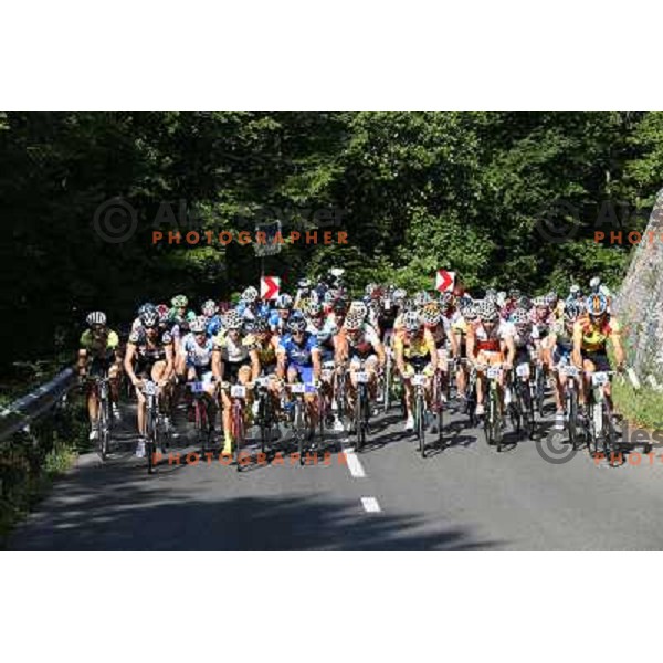 ALES8143.JPG Slovenian amateur cycling climb championship at 11,7 km track from Cerklje to Krvavec for King and Queen of Krvavec Trophy, held on August 25, 2012 