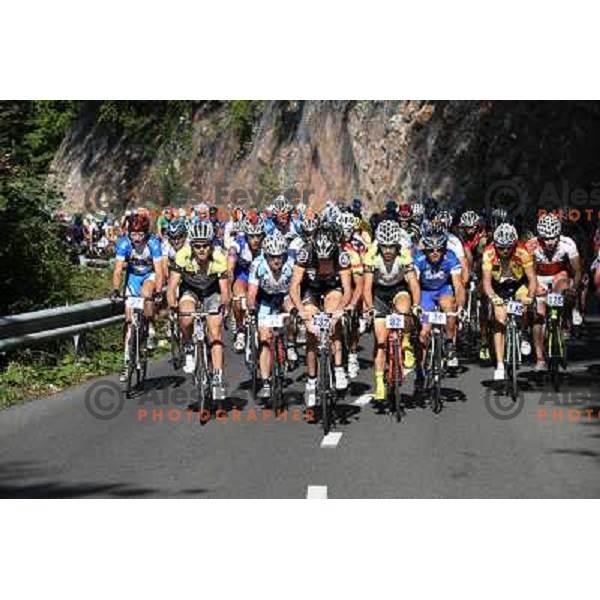 ALES8151.JPG Slovenian amateur cycling climb championship at 11,7 km track from Cerklje to Krvavec for King and Queen of Krvavec Trophy, held on August 25, 2012 