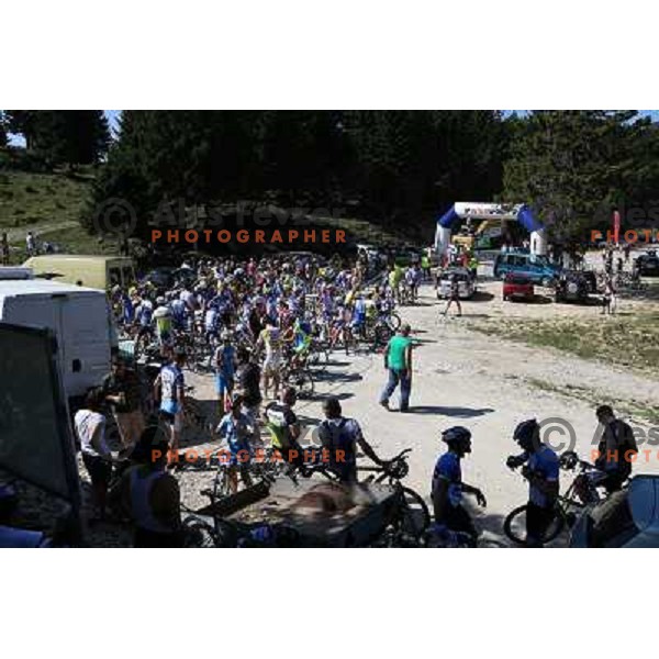 ALES9007.JPG Slovenian amateur cycling climb championship at 11,7 km track from Cerklje to Krvavec for King and Queen of Krvavec Trophy, held on August 25, 2012 