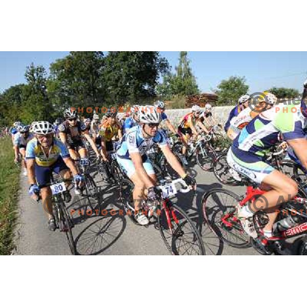 FEVZ4567.JPG Slovenian amateur cycling climb championship at 11,7 km track from Cerklje to Krvavec for King and Queen of Krvavec Trophy, held on August 25, 2012 