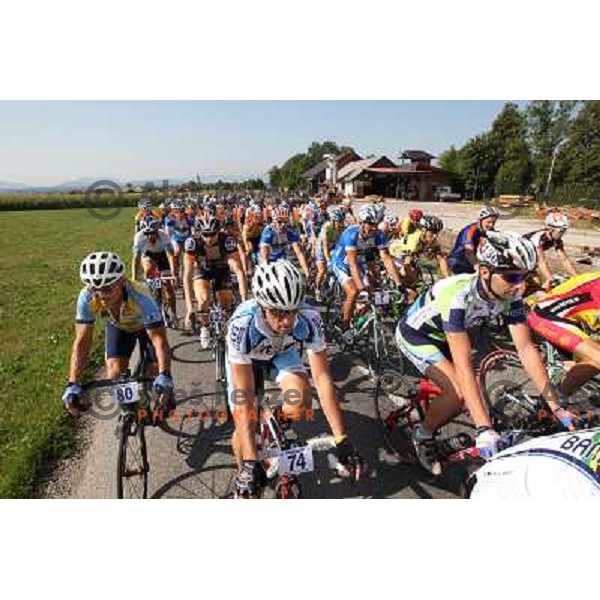 FEVZ4572.JPG Slovenian amateur cycling climb championship at 11,7 km track from Cerklje to Krvavec for King and Queen of Krvavec Trophy, held on August 25, 2012 