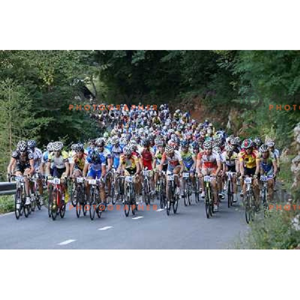 ALES8123.JPG Slovenian amateur cycling climb championship at 11,7 km track from Cerklje to Krvavec for King and Queen of Krvavec Trophy, held on August 25, 2012 