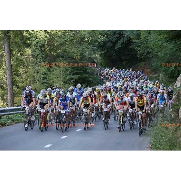 ALES8126.JPG Slovenian amateur cycling climb championship at 11,7 km track from Cerklje to Krvavec for King and Queen of Krvavec Trophy, held on August 25, 2012 