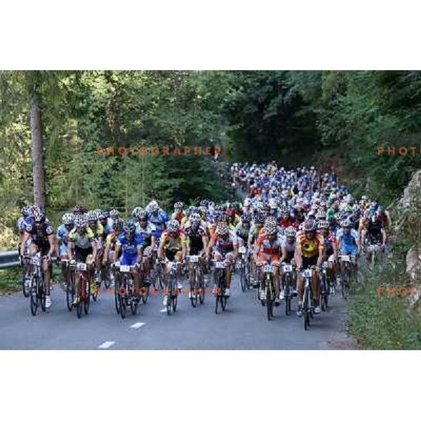 ALES8128.JPG Slovenian amateur cycling climb championship at 11,7 km track from Cerklje to Krvavec for King and Queen of Krvavec Trophy, held on August 25, 2012 