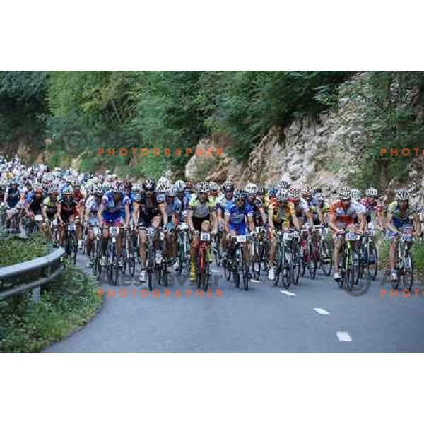 ALES8132.JPG Slovenian amateur cycling climb championship at 11,7 km track from Cerklje to Krvavec for King and Queen of Krvavec Trophy, held on August 25, 2012 