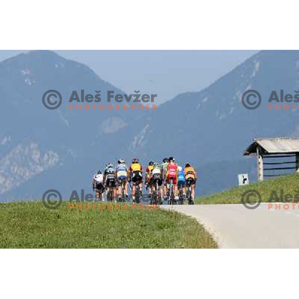 ALES8157.JPG Slovenian amateur cycling climb championship at 11,7 km track from Cerklje to Krvavec for King and Queen of Krvavec Trophy, held on August 25, 2012 