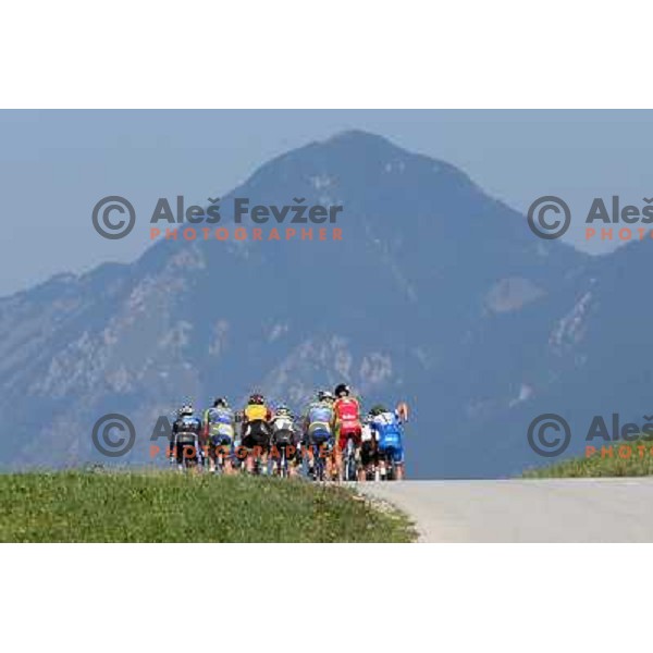 ALES8161.JPG Slovenian amateur cycling climb championship at 11,7 km track from Cerklje to Krvavec for King and Queen of Krvavec Trophy, held on August 25, 2012 