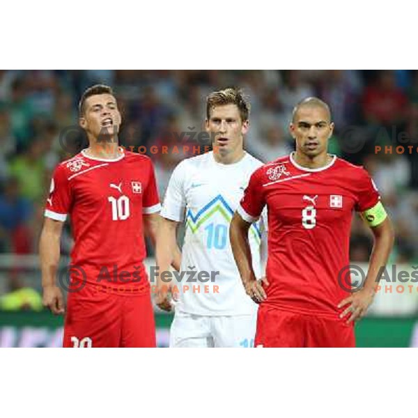 Valter Birsa of Slovenia in action during football match Slovenia-Switzerland for FIFA 2014 World Cup Brasil Qualifiers, played in Arena Stozice, Ljubljana, Slovenia on September 7, 2012 