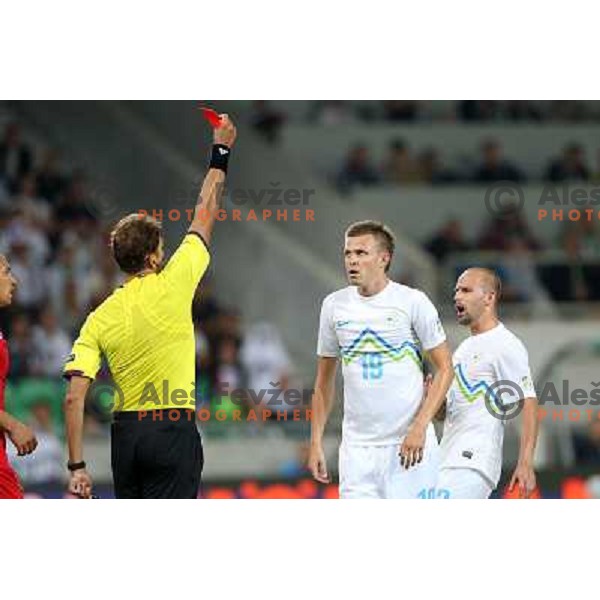 Referee Paolo Tagliavento shows by mistake red card and than yellow card to Josip Ilicic of Slovenia during football match Slovenia-Switzerland for FIFA 2014 World Cup Brasil Qualifiers, played in Arena Stozice, Ljubljana, Slovenia on September 7, 2012 