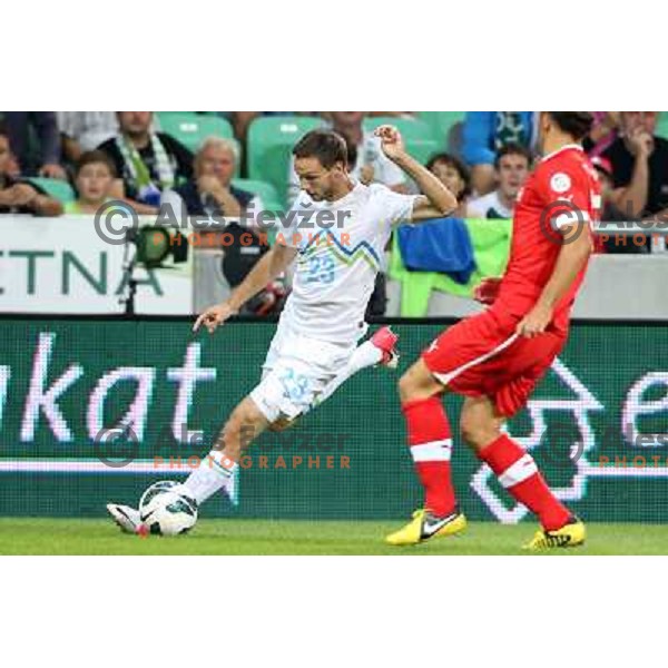 Tim Matavz of Slovenia during football match Slovenia-Switzerland for FIFA 2014 World Cup Brasil Qualifiers, played in Arena Stozice, Ljubljana, Slovenia on September 7, 2012 