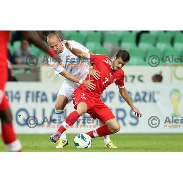 Tranquillo Barnetta and Miso Brecko of Slovenia during football match Slovenia-Switzerland for FIFA 2014 World Cup Brasil Qualifiers, played in Arena Stozice, Ljubljana, Slovenia on September 7, 2012 