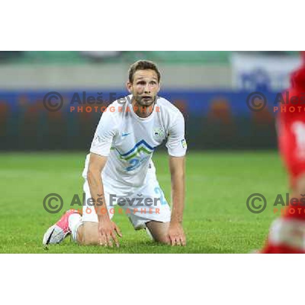 Tim Matavz of Slovenia during football match Slovenia-Switzerland for FIFA 2014 World Cup Brasil Qualifiers, played in Arena Stozice, Ljubljana, Slovenia on September 7, 2012 