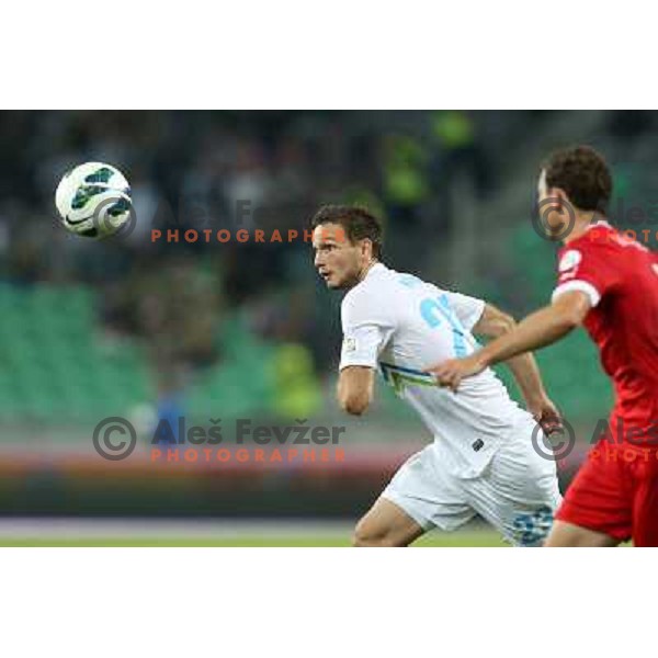 Tim Matavz of Slovenia during football match Slovenia-Switzerland for FIFA 2014 World Cup Brasil Qualifiers, played in Arena Stozice, Ljubljana, Slovenia on September 7, 2012 