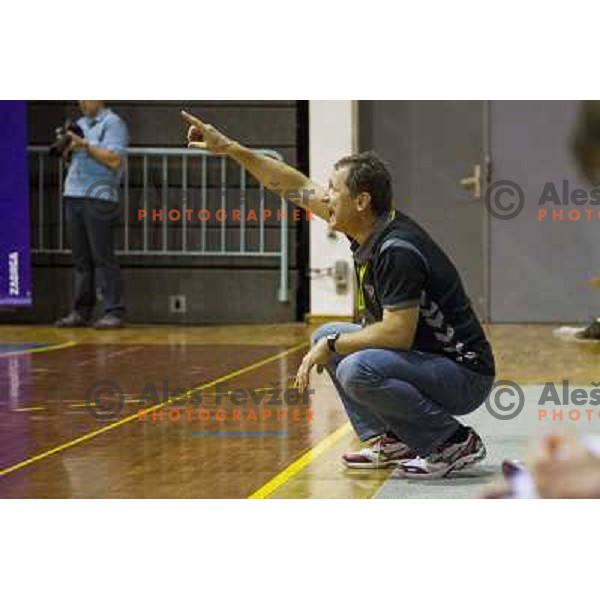 Marko Sibila in action during EHF cup handball match played in Tabor hall, Maribor, 8.9.2012 