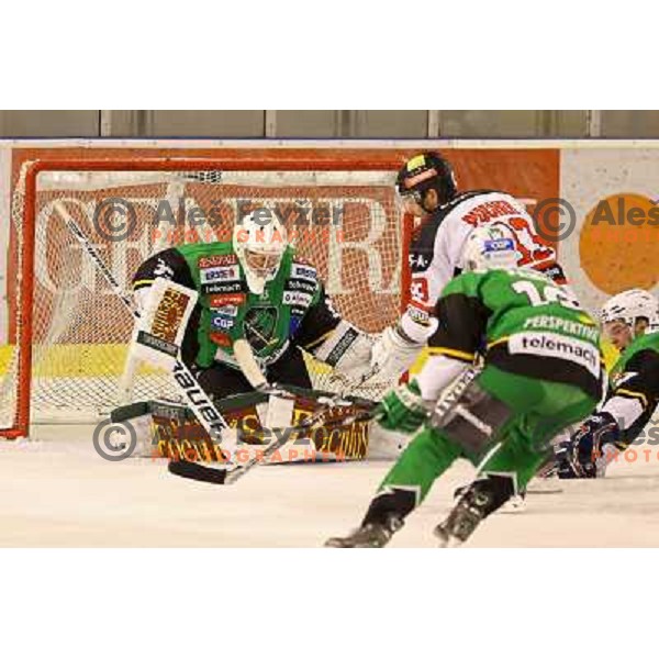 Jerry Kuhn of Telemach Olimpija in action during ice hockey match Telemach Olimpija Ljubljana- Orli Znojmo in round 4 of Ebel league 2012/13 played in Hala Tivoli, Ljubljana, Slovenia on September 16, 2012 