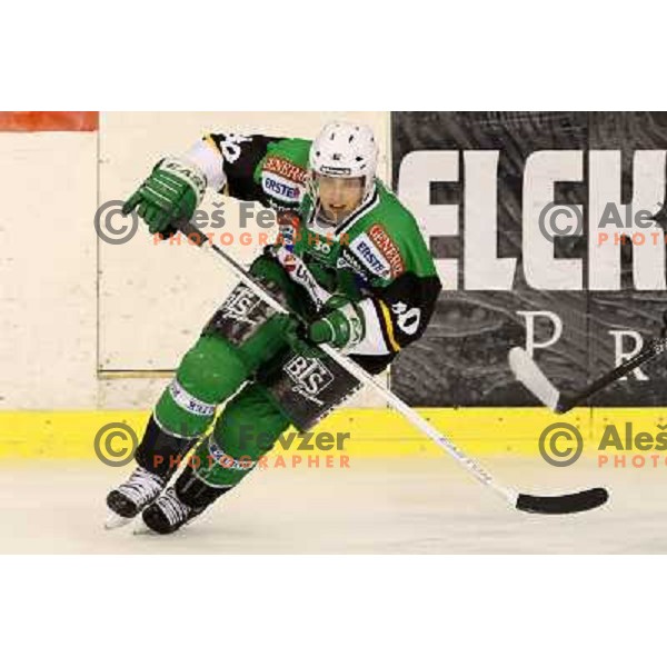 Erik Pance of Telemach Olimpija in action during ice hockey match Telemach Olimpija Ljubljana- Orli Znojmo in round 4 of Ebel league 2012/13 played in Hala Tivoli, Ljubljana, Slovenia on September 16, 2012 