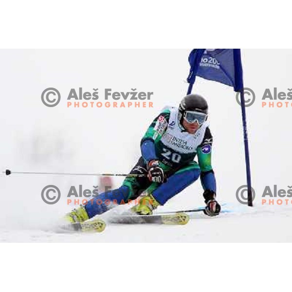  Matija Zavirsek during Giant-Slalom race at 23rd Winter Universiade in Torino. Race was held at slope Jafferau near Bardonecchia.