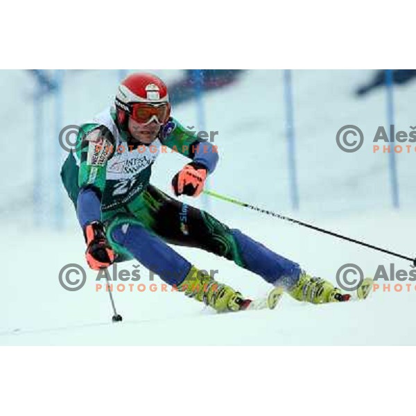 Anze Mravlja during Giant-Slalom race at 23rd Winter Universiade in Torino. Race was held at slope Jafferau near Bardonecchia.